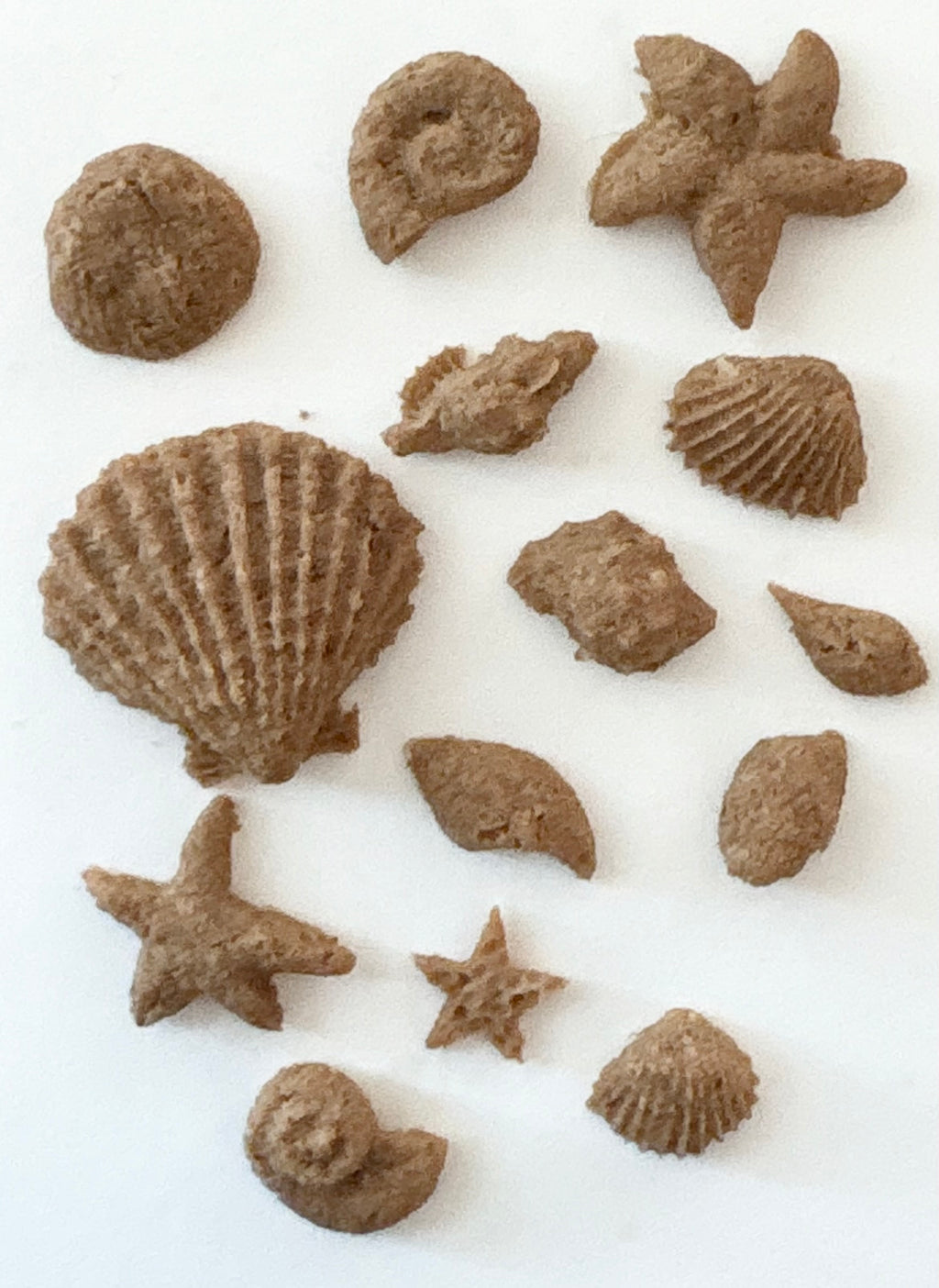 sea shell treats — dehydrated (turkey)