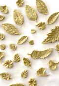 plant treats — dehydrated (turkey)