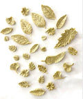 plant treats — dehydrated (chicken)