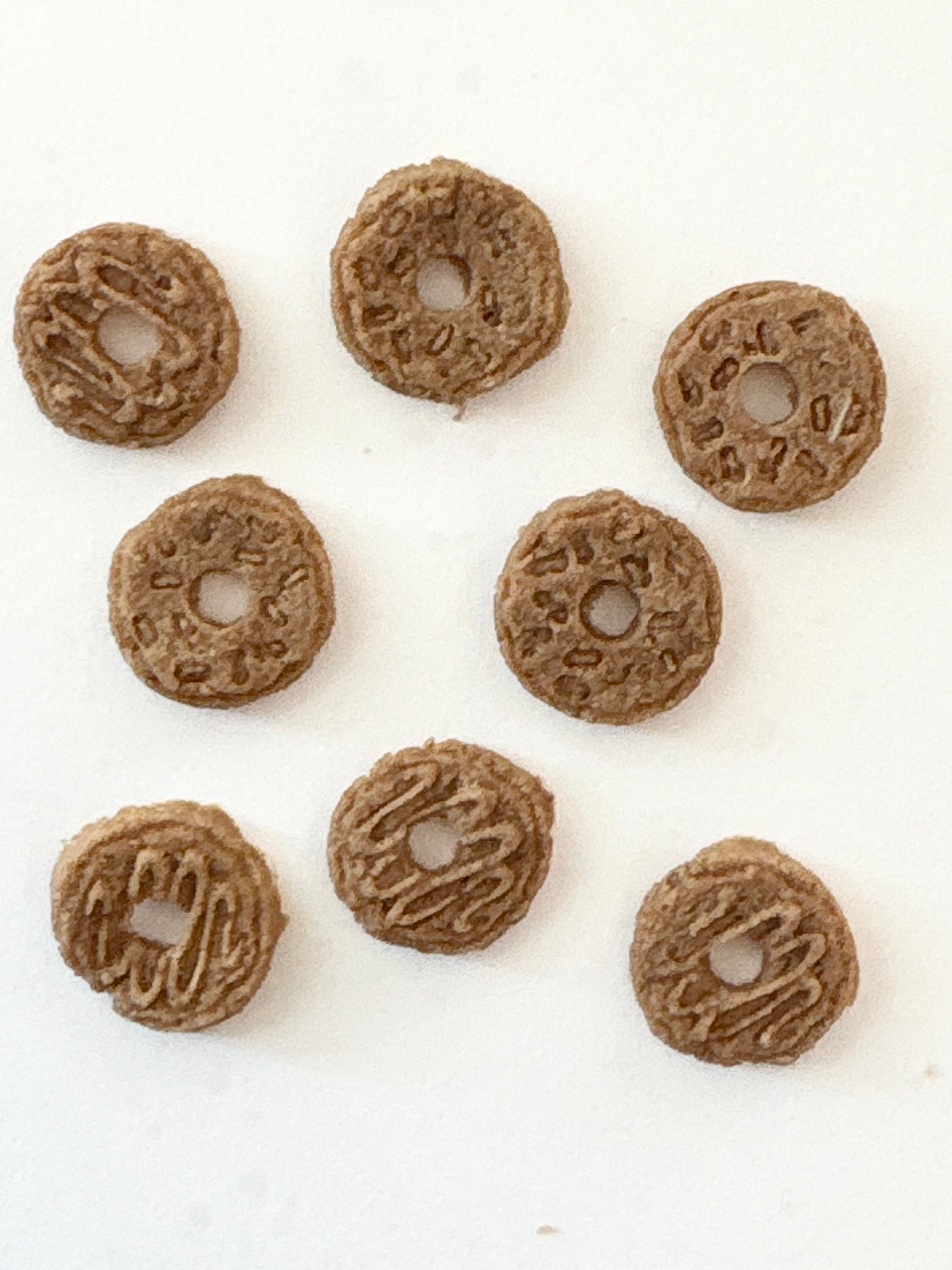 cat doughnuts— freeze dried (chicken)