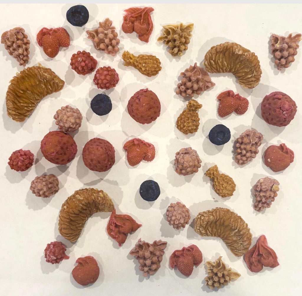 fruit treats — dehydrated (turkey)