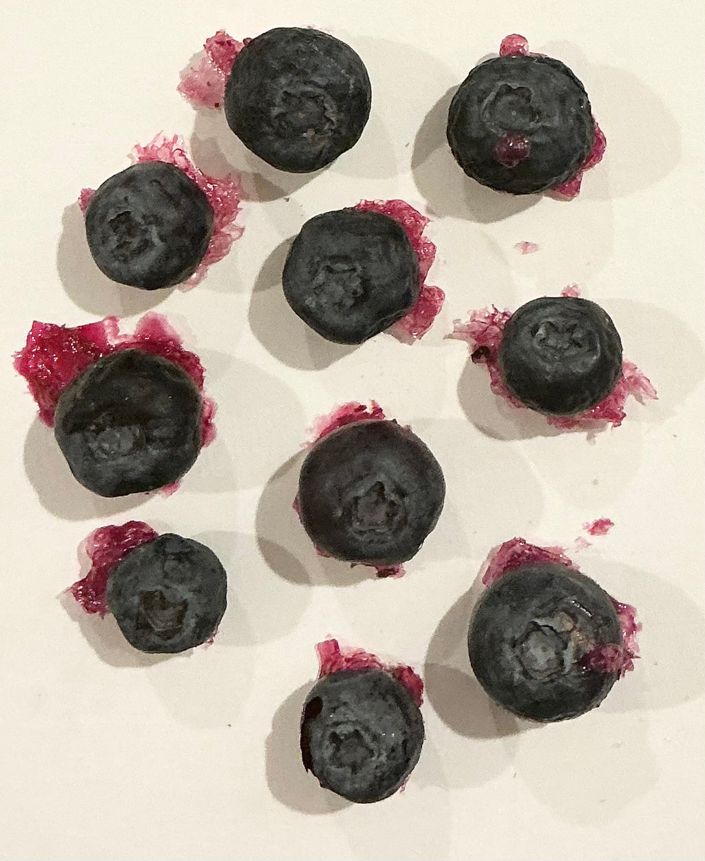 berries — freeze dried