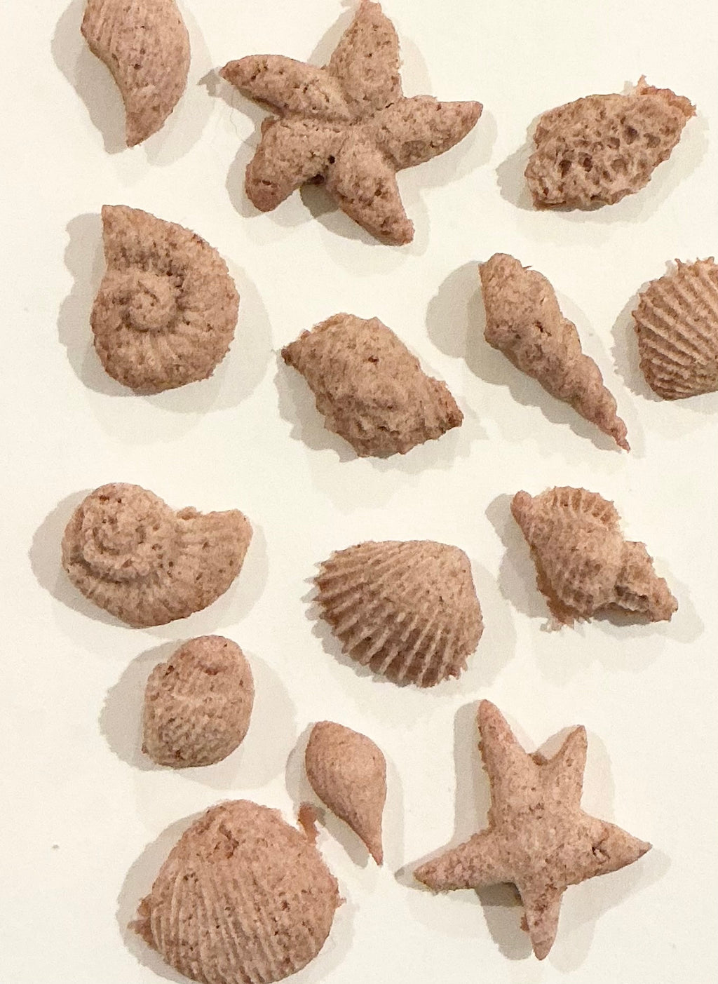sea shell treats — freeze dried (chicken)