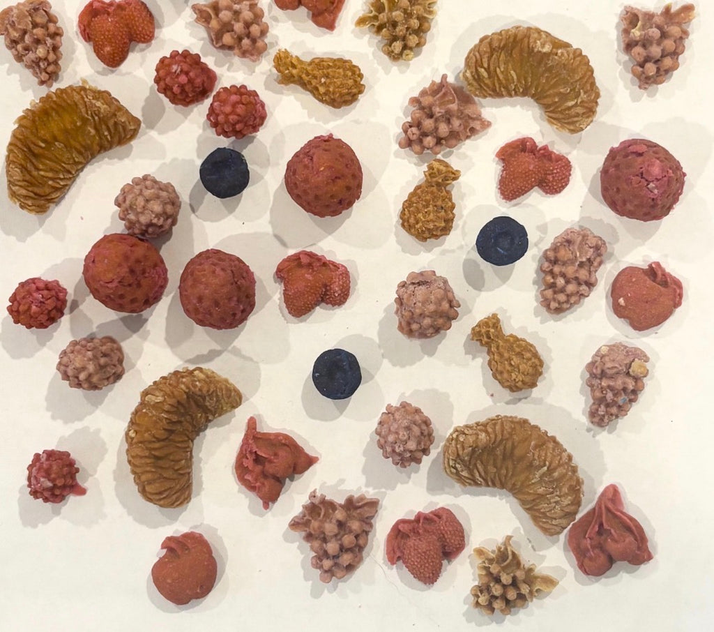 fruit treats — dehydrated (turkey)