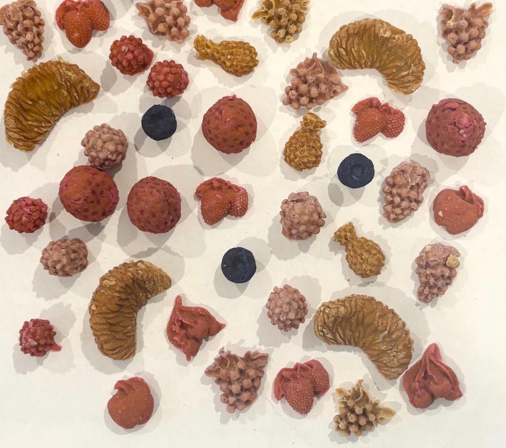 fruit treats — dehydrated (turkey)