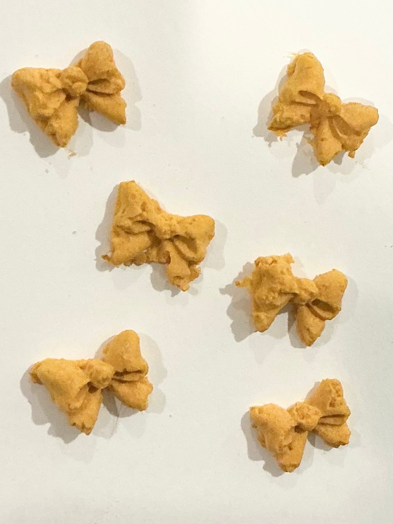 pumpkin bows — freeze dried