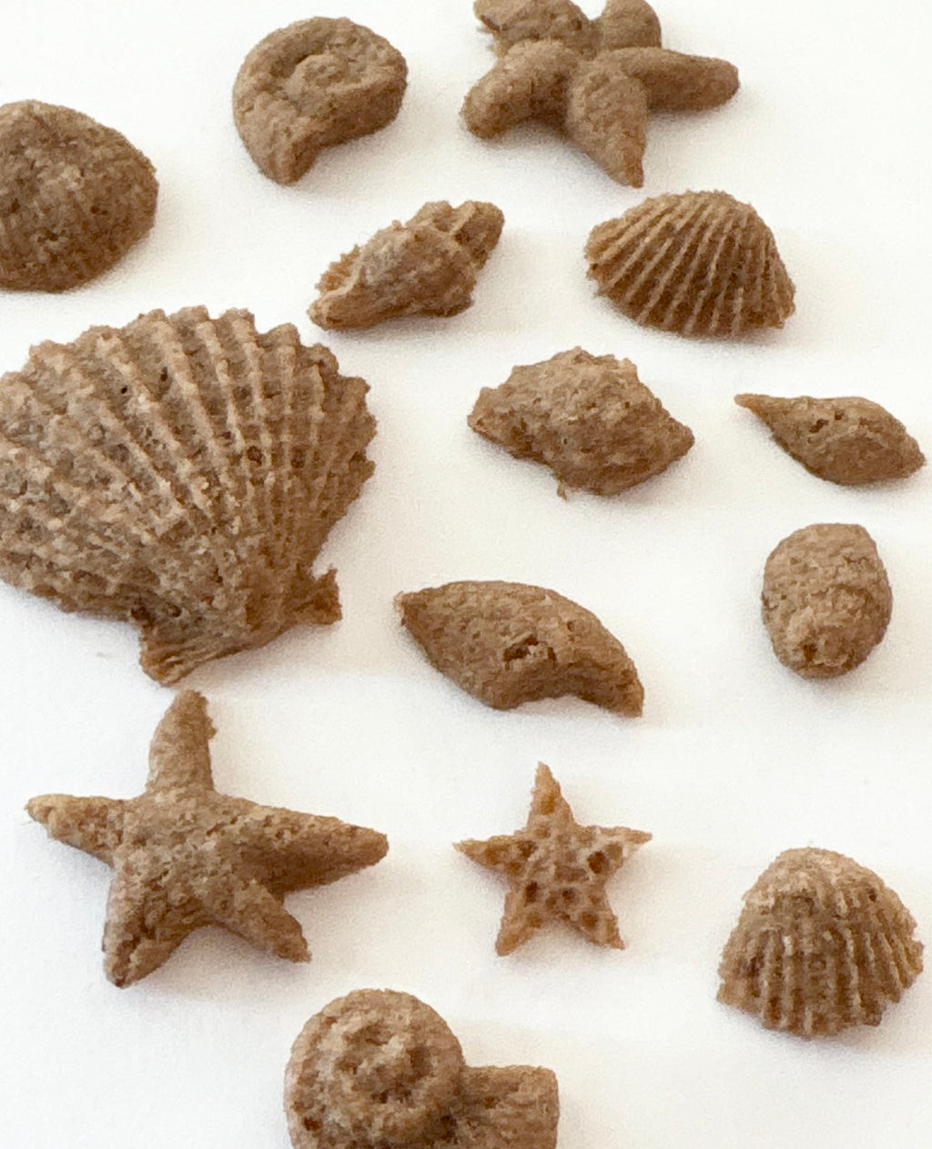 sea shell treats — dehydrated (turkey)