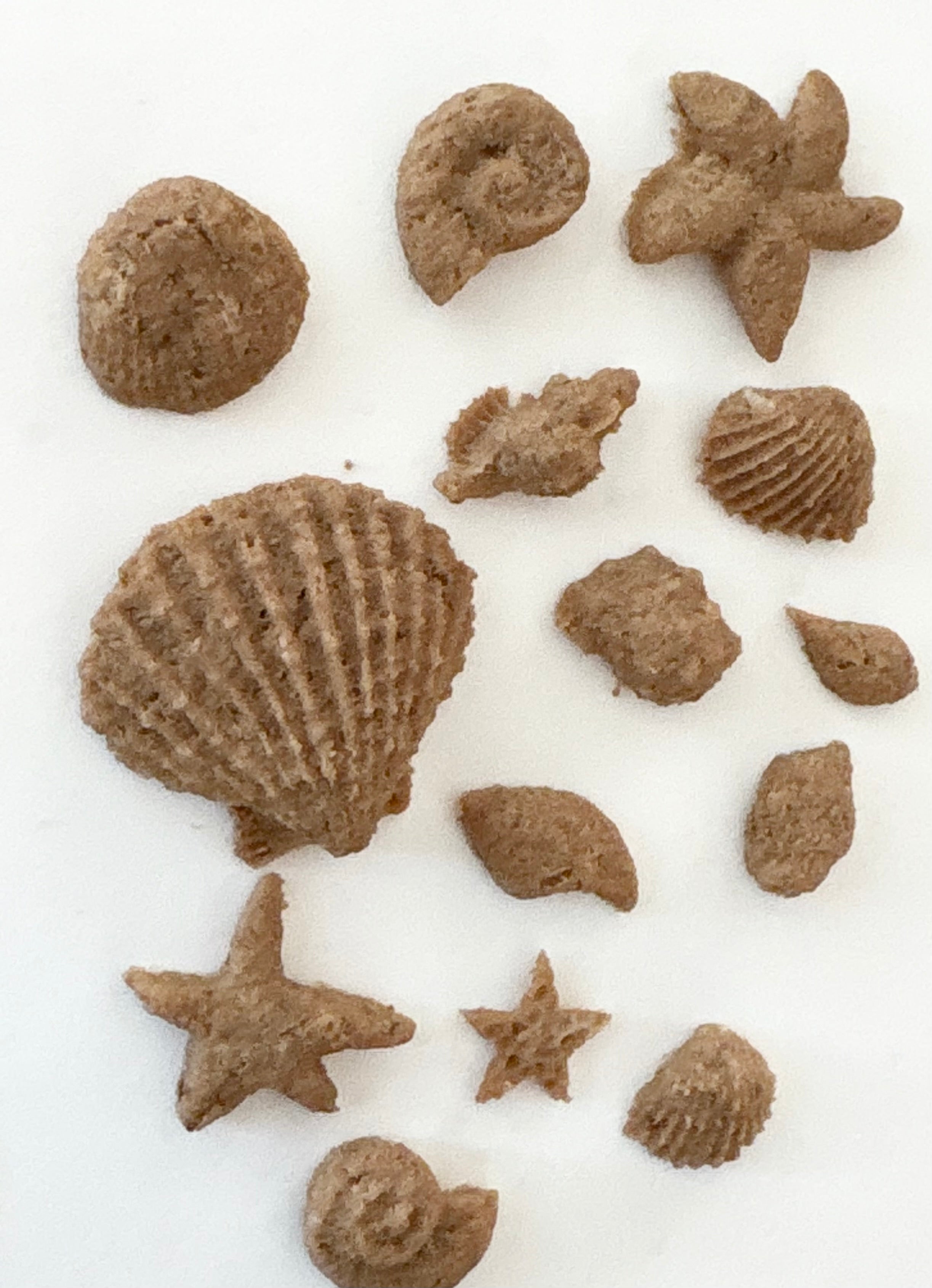 sea shell treats — dehydrated (turkey)